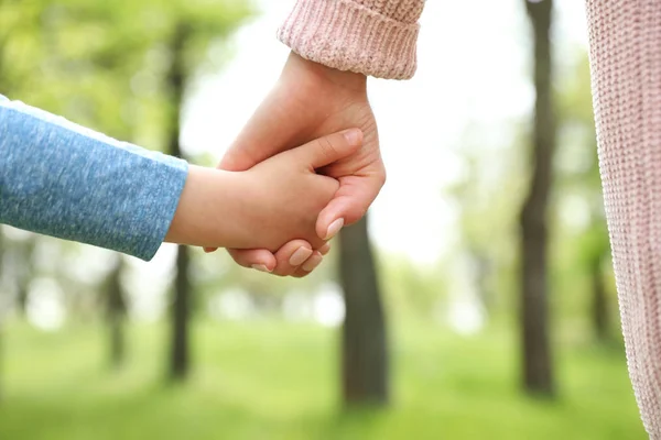Legal Maternity DNA Test